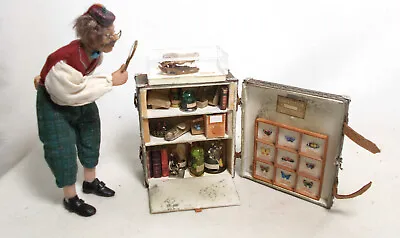 Dolls House Miniature Darwinian Filled Trunk / Museum / Collector's Collection • $155.57