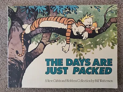 £3 • Buy Calvin And Hobbes  The Days Are Just Packed  - Comic Strip Book