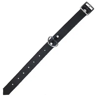 MicheleX MXL221 Real Leather Arm Band With D-Ring 32cm X 2cm • £3.14