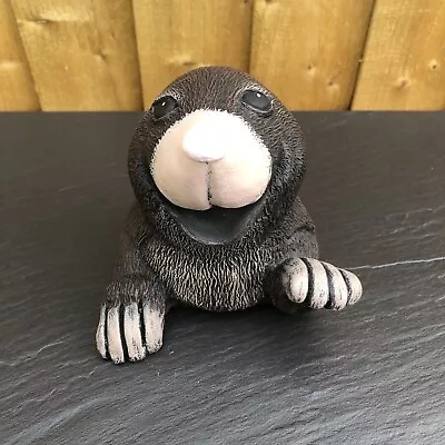 Pop Up Mole - Smiling And Waving - Painted Stone Garden Ornament - Mole45 • £13