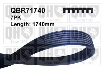 QH QBR71740 V-Ribbed Belt Fits Nissan Primastar Opel Vivaro Vauxhall Vivaro • £21.99