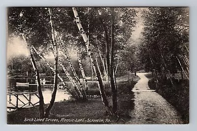 Scranton PA-Pennsylvania Moosic Lake Birch Lined Drive C1908 Vintage Postcard • $7.99