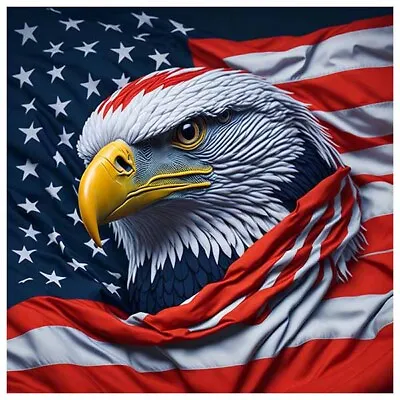 Decal Mascot Of Eagle  America Flag Sticker Vinyl 6Years+ Resistance • $2.99