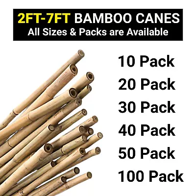 Bamboo Heavy Duty Garden Canes Thick Quality Flower Plant Support Cane Stake UK • £6.99