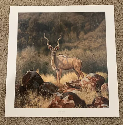 Charles Frace Limited Edition Signed Print “Greater Kudu” • $49.95