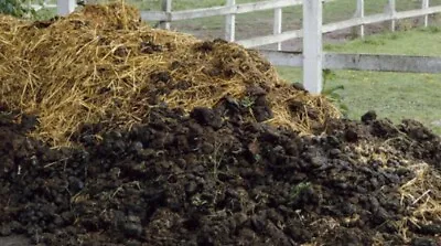 Rotted Horse Manure. Great For Mushroom And Gardening. • £3.99