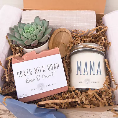 Mothers Day Gift Mothers Day Gift Box Mothers Day Basket Mothers Day Succulen • $52