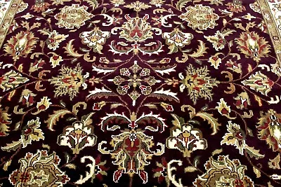 8x10 Exquisite Mint 200+kpsi Hand Knotted Vegetable Dye Wool Tabrizz Turkish Rug • $100