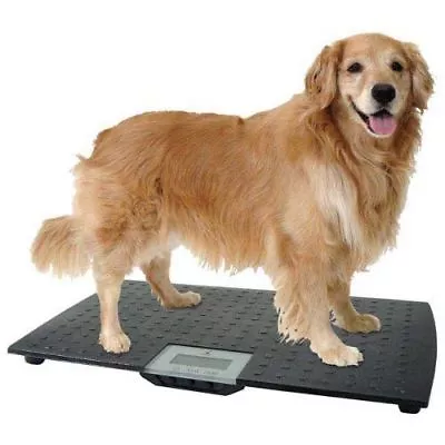$142.98 • Buy Digital Pet Scale Large Dog Animal Weight Veterinary LBS Kilo Graduation Breeder
