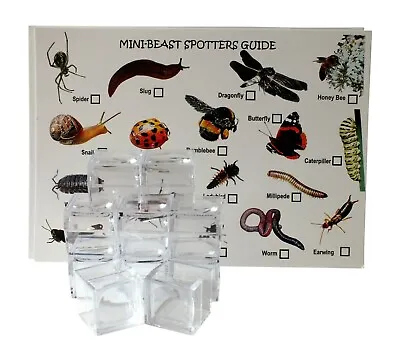  Bug Pots With Insect Viewer Magnifying Pot Pack Of 12 & 12 Large Spotter Cards • £17.84