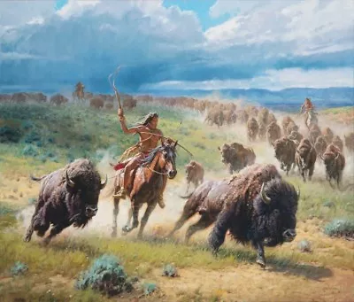 Chasing Thunder By Martin Grelle Native American Indian Western Buffalo 30x36 • $1399