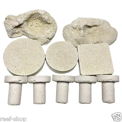 10 Assorted Cured Frag Plugs For Live Coral Reef Propagation • £14.24