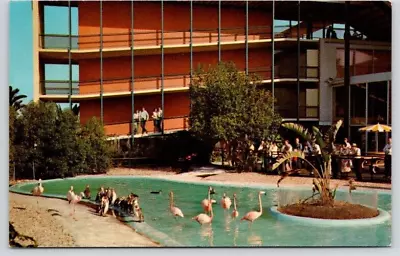 MARINELAND OF THE PACIFIC POSTCARD Flamingo And Penguin Pool • $2.25