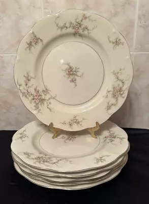 Vintage Theodore Haviland New York Rosalinde Set Of 6 Salad Plates Made In Usa • $58