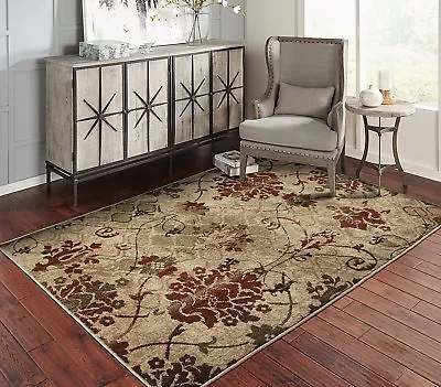 Modern Area Rugs For Living Room 8x10 Floral Modern Rug 5x8 • $29.98