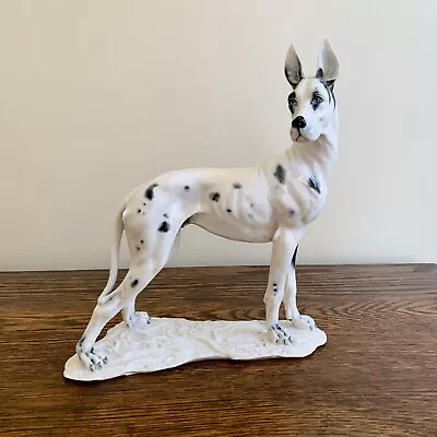 Vintage Signed Cacciapuoti Great Dane Dog Figurine - Italian - Blue Eyes - Flaw! • $128