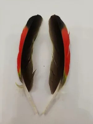 FS26 Matched Pr Hybrid Orange Wing Amazon 5  Wing Feather • $11.98