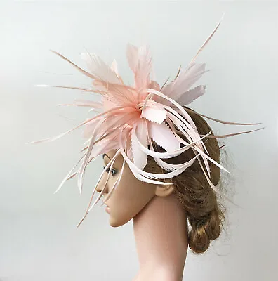 Peacock Hackle Goose Biot Twistable Feather Mount Millinery Hat Fascinator Craft • $14.26