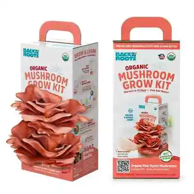 Back To The Roots Organic Pink Mushroom Grow Kit Harvest Gourmet Mushrooms • $18.95