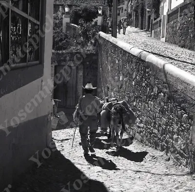 A18  Original Negative 1974 Mexico Taxco Street View Donkey 993a • $9.25