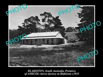 Old Historic Photo Of Blakiston Sa The Amscol Cheese Factory 1935 • $9.90