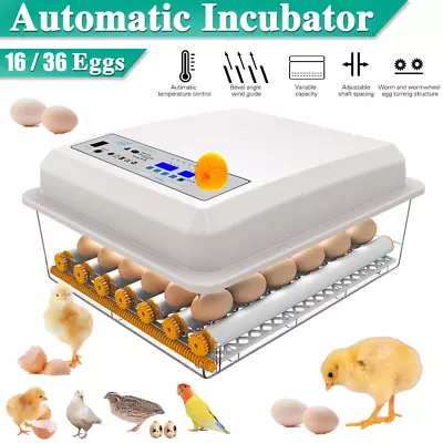 16/36pcs Eggs Incubator Fully Automatic Digital Chicken Poultry Led Turning • $42.99