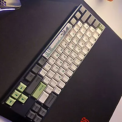 $105 • Buy Ducky Miya Pro Mechanical Gaming Keyboard Panda Limited Edition 