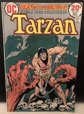 Tarzan #224 Comic DC Comics Bronze Age • £4.99