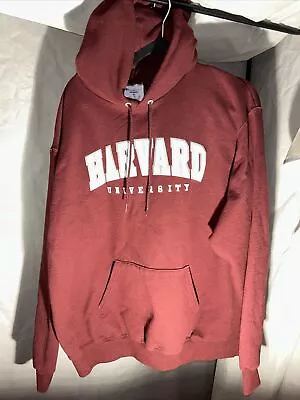 Vintage Champion Eco Harvard Pullover Embroidered Hoodie Sweatshirt Men's XL • $29.99