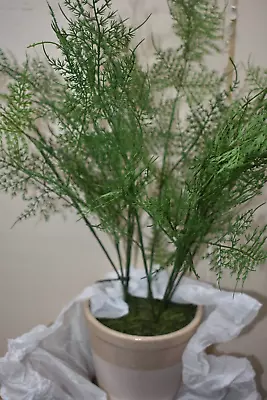 Hearth And Hand With Magnolia Artificial Faux Potted Plants Asparagus Fern • $14.99