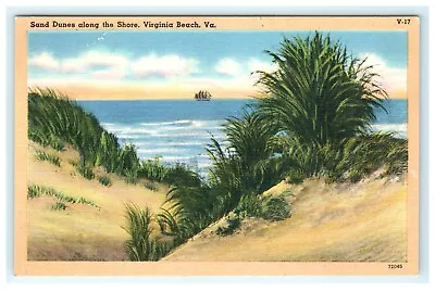 Sand Dunes Along The Shore Virginia Beach VA Virginia Early Postcard • $5.95