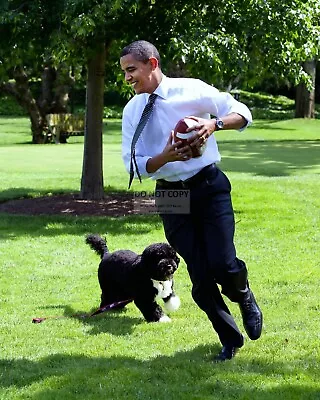 President Barack Obama Plays Football With Family Dog  Bo  - 8x10 Photo (op-540) • $8.87