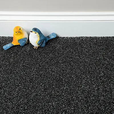 Dark Grey Saxony Actionback Carpet 18mm Flecked Stain Resistant Bedroom Lounge • £0.99