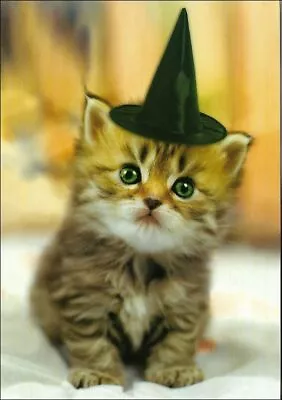 Kitten In Black Hat Halloween Card ~ Happy Halloween • $3.95