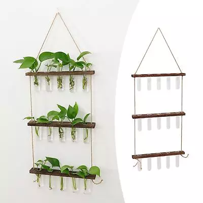 Wall Hanging Plant Propagation Station Glass Planter Test Tube Vase With Wooden • £21.31