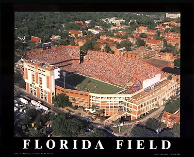 Florida Gators Football Field THE SWAMP Stadium Aerial View 22x28 POSTER Print • $26.99