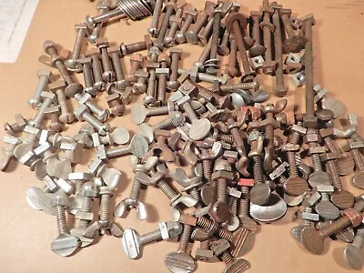 Antique Bolts Lot Vintage Square Nut Thumb Turn Screw Fasteners 1/4  /20 Tpi • $17.86