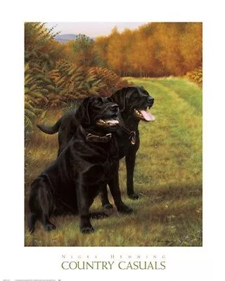 £30.59 • Buy Country Casuals By Nigel Hemming Art Print Labrador Black Lab Poster 24x30