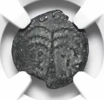 Antonius Felix Judaea NGC VF Authentic Bible Coin 52-59 AD Roman Israel Prutah • $65.79