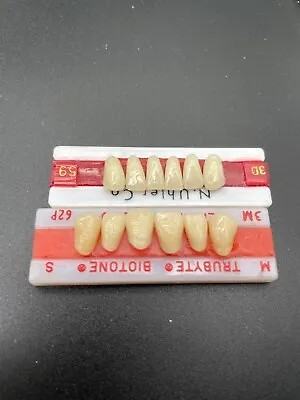 Vintage Denture Teeth Set - Two Strips T106 • $15.93