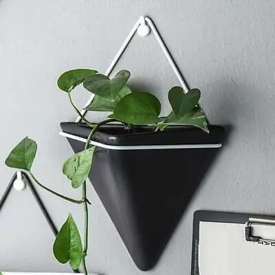 Triangle Wall Hanging Planter Modern Indoor Outdoor Geometric Wall Mount • £15.34