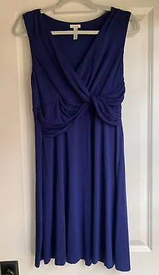 Soma Blue Dress • $29