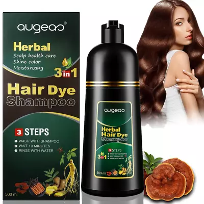 Hair Dye Color Shampoo 500ml Instant Fast Permanent Natural Coconut DYE  • $18.99