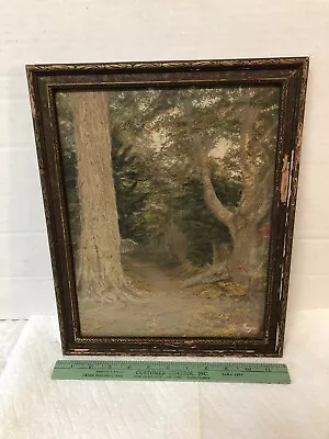 RARE Antique Charles Sawyer Hand Colored Photo NH Wooded Landscape Path Trees • $195