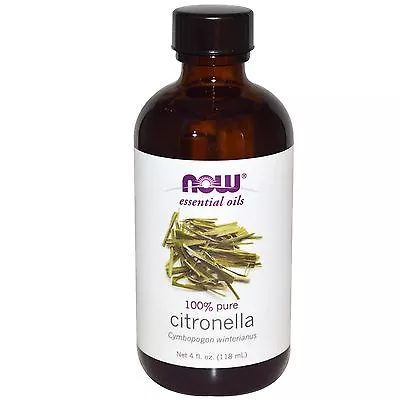 NOW Foods 4 Oz Essential Oils (Packaging May Vary) • $12.99