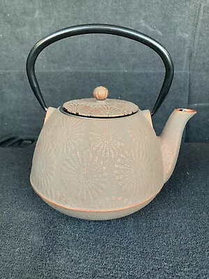 Cast Iron Teapot Tea Kettle Pot With Stainless Steel Infuser 22 Oz • $30.99