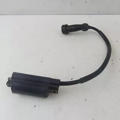 Yamaha XV 125/250 Virago Ignition Coil With Ignition Leads 31155 • $24.62