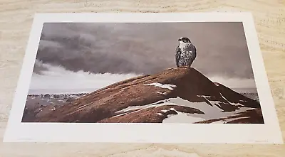  ON WATCH  Gyrafalcon Lithograph Signed Morten Solberg - Stanley Marcus Estate • $100