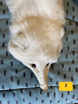 £120 • Buy Vintage White Canadian Fox Stole Wrap