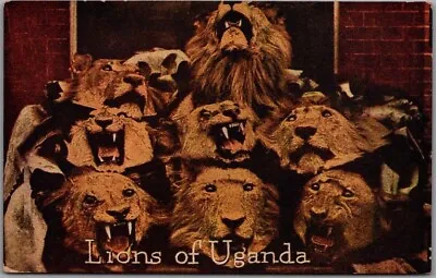 1909 ROOSEVELT TOUR Africa Postcard  Lions Of Uganda  Arthur Capper / Unused • £3.86